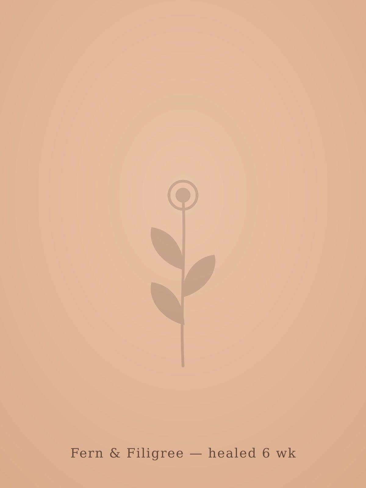 Fern & Filigree — healed