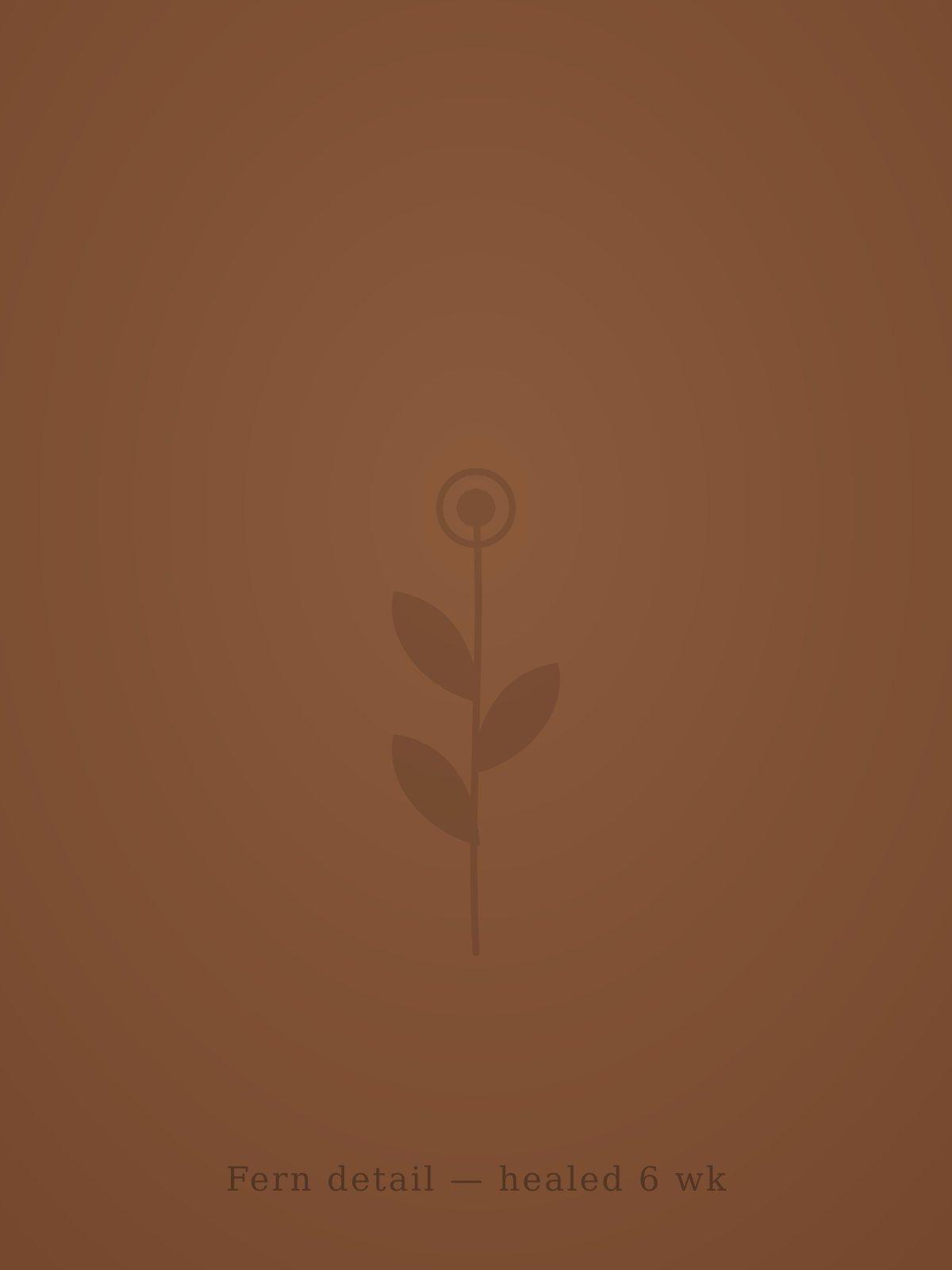 Fern detail — healed